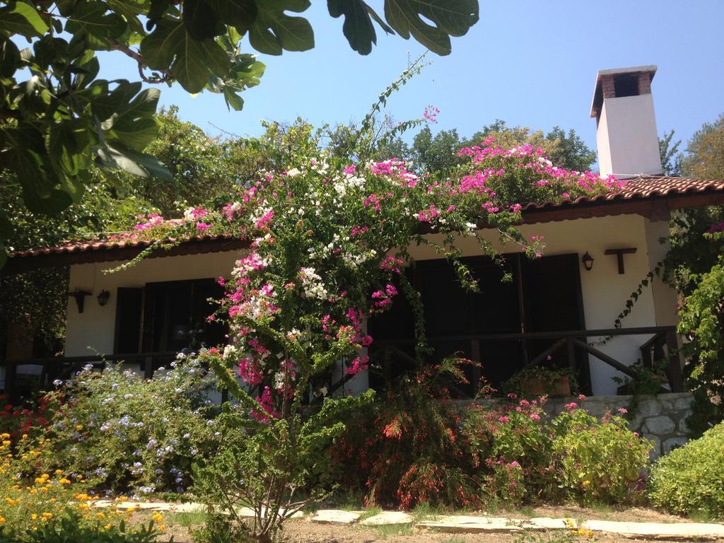 Selimiye Houses Kültér fotó