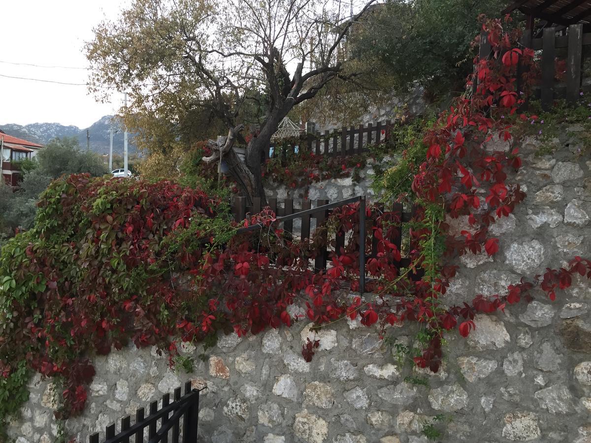 Selimiye Houses Kültér fotó